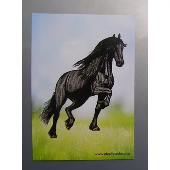 Dóza na potraviny Magnetka - fríský kůň