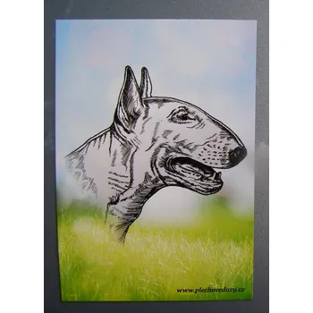 Dekorativní magnet Magnetka - bulteriér