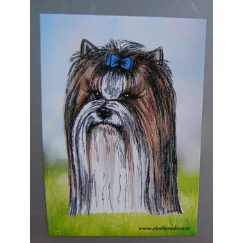 Dekorativní magnet Dózy KERÁSEK Magnetka - biewer