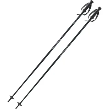 Sjezdová hůlka Fischer Lite 2025/26 135 cm