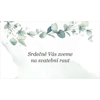 Pozvánka Pozvánka na raut 231