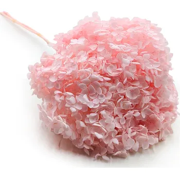 umělá květina mech-mech.cz Stabilizovaná hortenzie (Hydrangea Cabeza) - Royal - Růžová