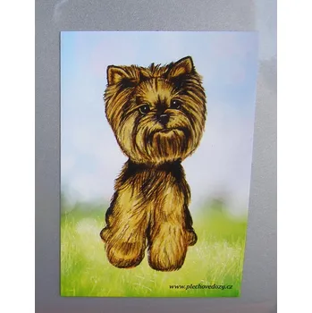 Dekorativní magnet Magnetka - jorkšír ostříhaný