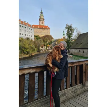 Kloubní výživa pro psa a kočku Pomáháme žít lépe Psí duše - osobní konzultace s Monikou