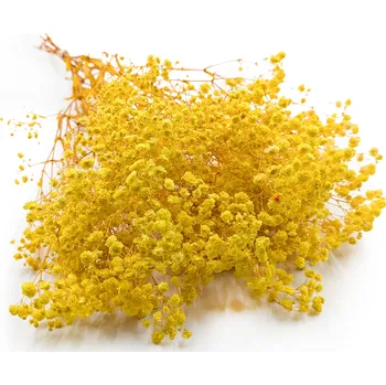 mech-mech.cz Stabilizovaný Šater - (Gypsophila) - Royal Bouquet - žlutý