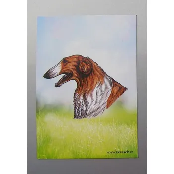 Dekorativní magnet Magnetka - barzoj