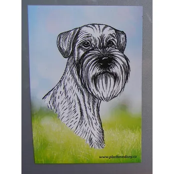 Dekorativní magnet Magnetka - knírač