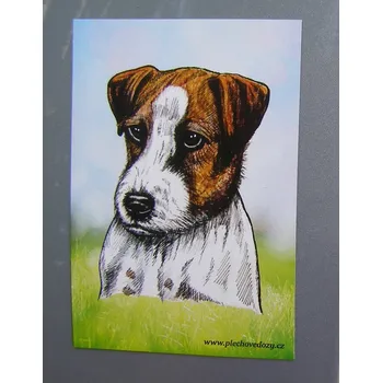 Dekorativní magnet Magnetka - Jack Russel teriér