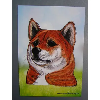 Dekorativní magnet Magnetka se psem shiba-inu