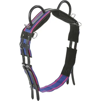 Obřišník BUSSE DOUBLE se 2 madly modro/růž. 1/pony