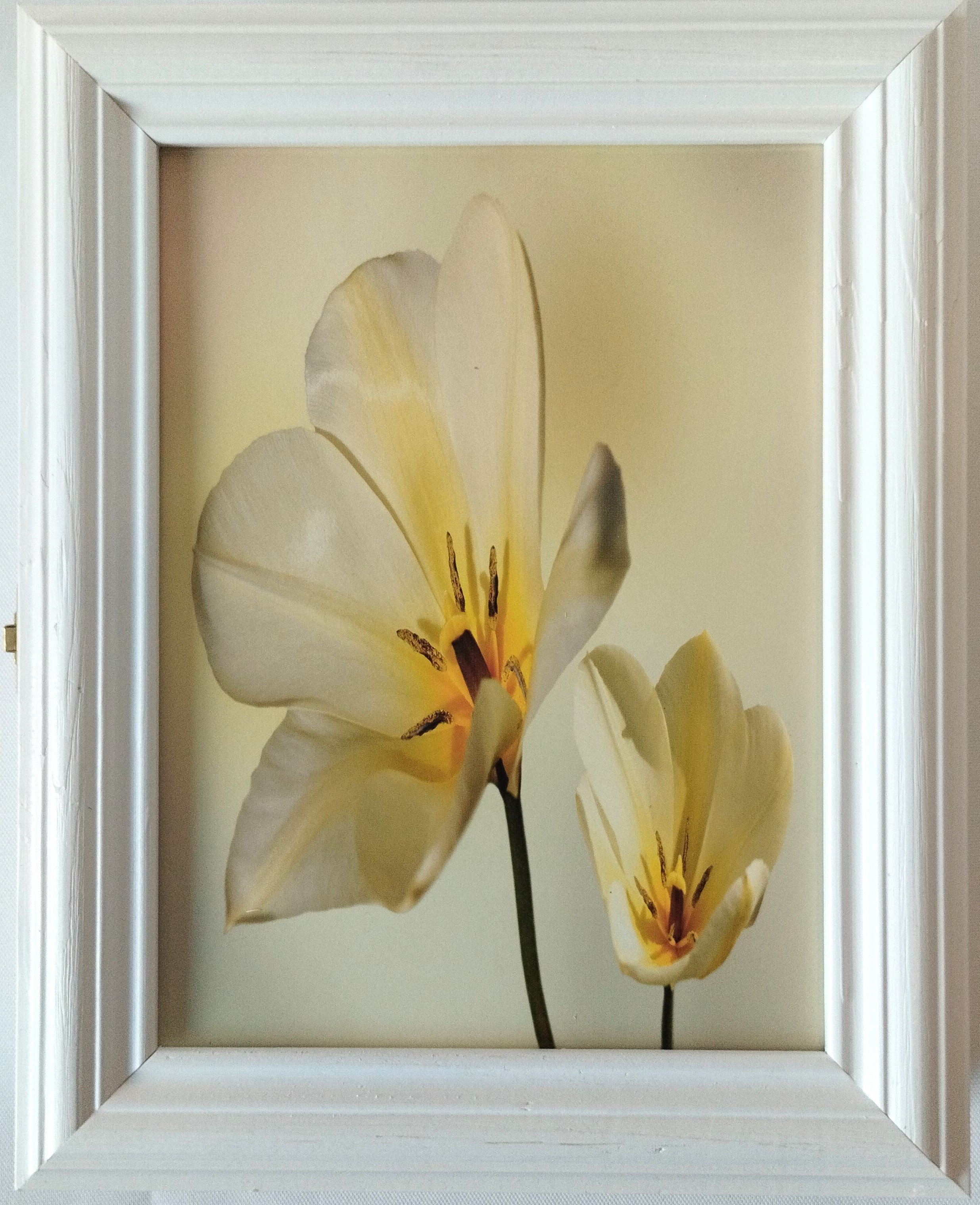 Bondecor Skříňka na klíče bílá "Tulipán"