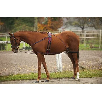 Lonžovací postroj NORTON full - doprava zdarma od 2 000 Kč