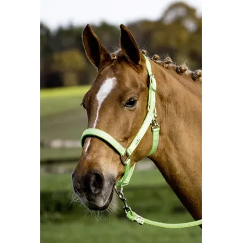 Stájovka BUSSE Solid Soft sv.zelená 2/cob