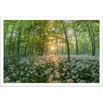 Obraz Bondecor Obraz v rámu "Sun" 43x33cm