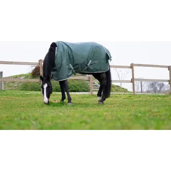 Deka pro koně EQUITHEME TYREX 600D/150 g Recycled výběhová deka pro koně zelená 175 - doprava zdarma od 2 000 Kč