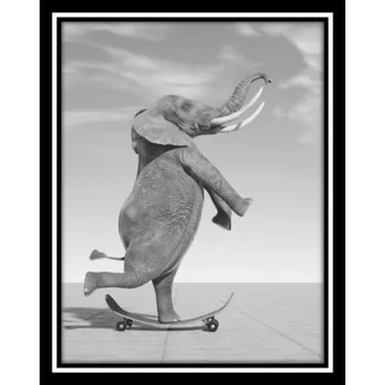 Obraz Bondecor Obraz černobílý "Slon na skateboardu" 24x30cm Barva: Černá