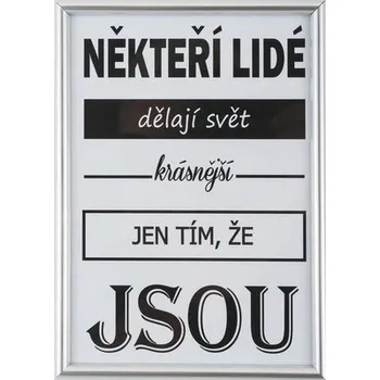 Rám na obraz Bondecor Fotorám FAST - stříbrný Velikost: 20x25