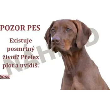 Značení Výstražná tabulka MAĎARSKÝ OHAŘ lesk