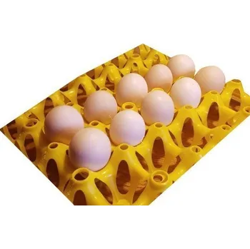 Umělá líheň Násadová vejce Ayam Cemani 63