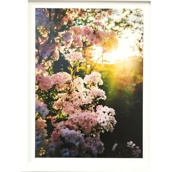 Obraz Bondecor Obraz v rámu "Sunset" - 33x43cm