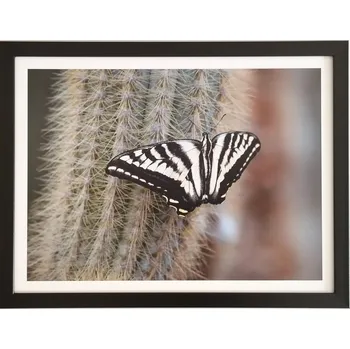Obraz Bondecor Obraz v rámu "Motýl" - 43x33cm