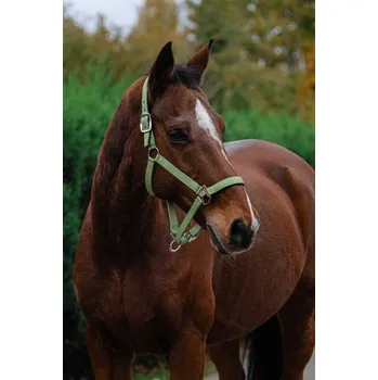 EQUITHEME Spring stájovka pro koně b. sv.zelená 3/full