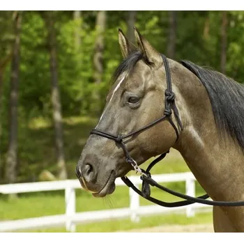 Provazová ohlávka BUSSE Rings vínová Pony/Cob - doprava zdarma od 2 000 Kč