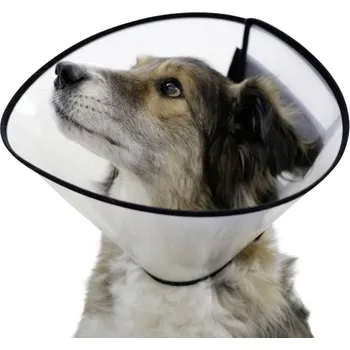 Ochranný límec pro psy plastový suchý zip 22-26cm/10cm - doprava zdarma od 2 000 Kč