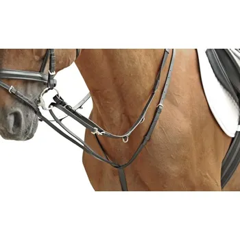 Thiedemann komplet martingal a otěže Pony