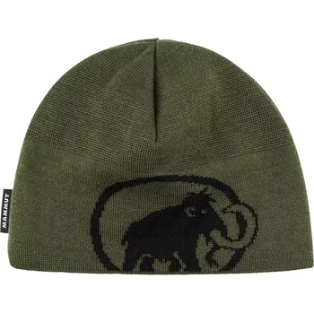 Čepice Mammut Tweak Beanie 40294 zelená