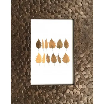 Rám na obraz Bondecor Fotorám plastový, strukturovaný, dřevo Velikost: 15x21cm