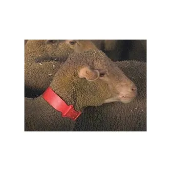 Značení hospodářského zvířete Krční řemen pro ovce a kozy plast, 4x55cm červený