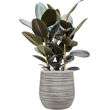 Květináč Tornado Darcy Grey (32x32cm)