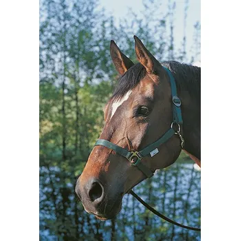 Nylonová stájovka Klasik modrá hříbě 0 - doprava zdarma od 2 000 Kč