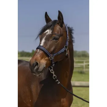 NORTON 4Lines stájovka pro koně b. tm.modrá 3/full - doprava zdarma od 2 000 Kč