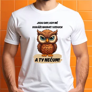 Pánské tričko Pánské tričko - Jsou dny, kdy mě dokáže nasrat i vzduch. Sova Barva: Růžová, Velikost: L