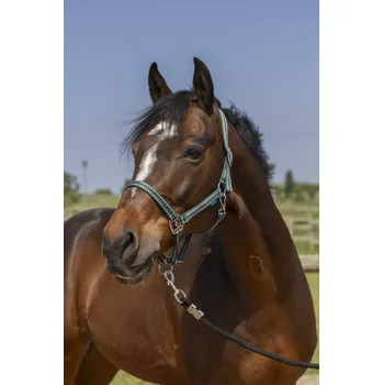 NORTON Grooming stájovka pro koně b. tm.zelená 2/cob