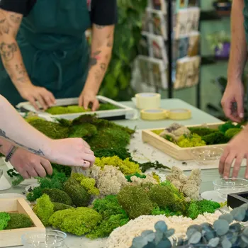 Obraz DMP mechový obraz 35 x 35 cm