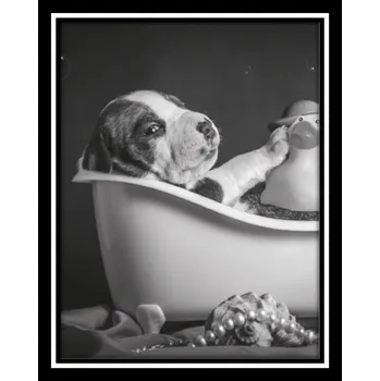 Obraz Bondecor Obraz černobílý "Pes a kachna" 24x30cm Barva: Černá