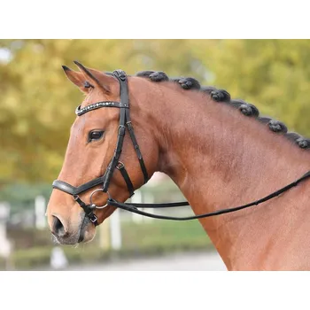 Anatomická uzdečka pro koně BUSSE Feeling kožená černá 3/full