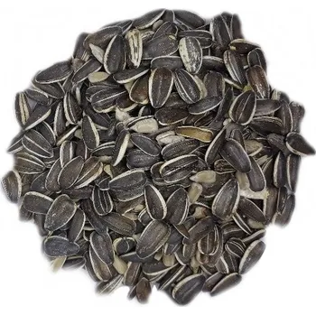 Krmivo pro ptáka Slunečnice velká žíhaná Balení: 1kg
