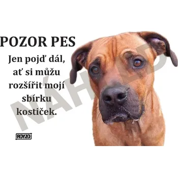 Výstražná tabulka RHODÉSKÝ RIDGEBACK lesk - doprava zdarma od 2 000 Kč