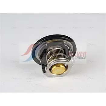 Těsnění motoru Termostat, chladivo AVA SZTS002