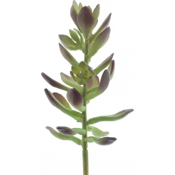 umělá květina umělý sukulent,Sukulent „Sinocrassula Guanita“ červeno-zelený 20 cm