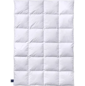 deka Extra teplá zimní deka Daune E 04 Gold Edition Rozměr: 140/200