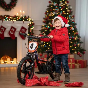malá motorka Leramotors E-bike - elektrická motorka/odrážedlo Leramotors by APOLLO RFZ Sedna 16 PRO - oranžová