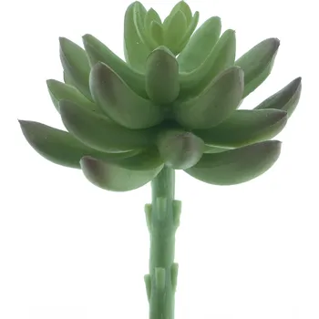 umělá květina umělý sukulent, Sukulent „Guanita“ zelený 13 cm