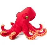 Living Nature Common Octopus