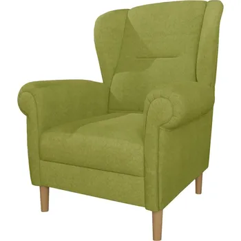 Křeslo Zelené křeslo ušák Swan – Ropez ID_1825156