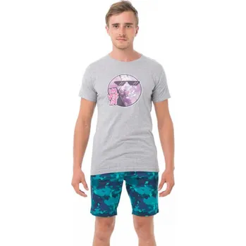 Pánské tričko Pánské tričko 69SLAM VEGAN RABBIT GREY (MTRVBT-GY) XL MTRVBT-GY Možnost vrácení zboží ZDARMA do 120 dnů!